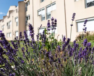 EHPAD - Résidence de Beaulieu